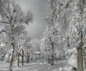 images/photos/13000And2more.jpg
