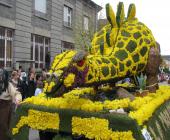 images/photos/IMG_0681.jpg